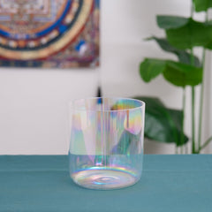 Collection image for: Clear Handle