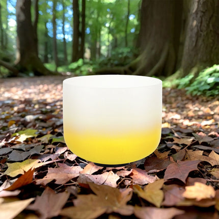 432hz 10 inch Quartz Crystal Singing Bowl Aria Gradient Design E Note