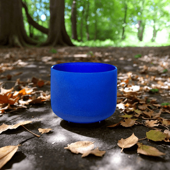 432hz 8 inch Quartz Crystal Singing Bowl Colored A Note with Carrying Case